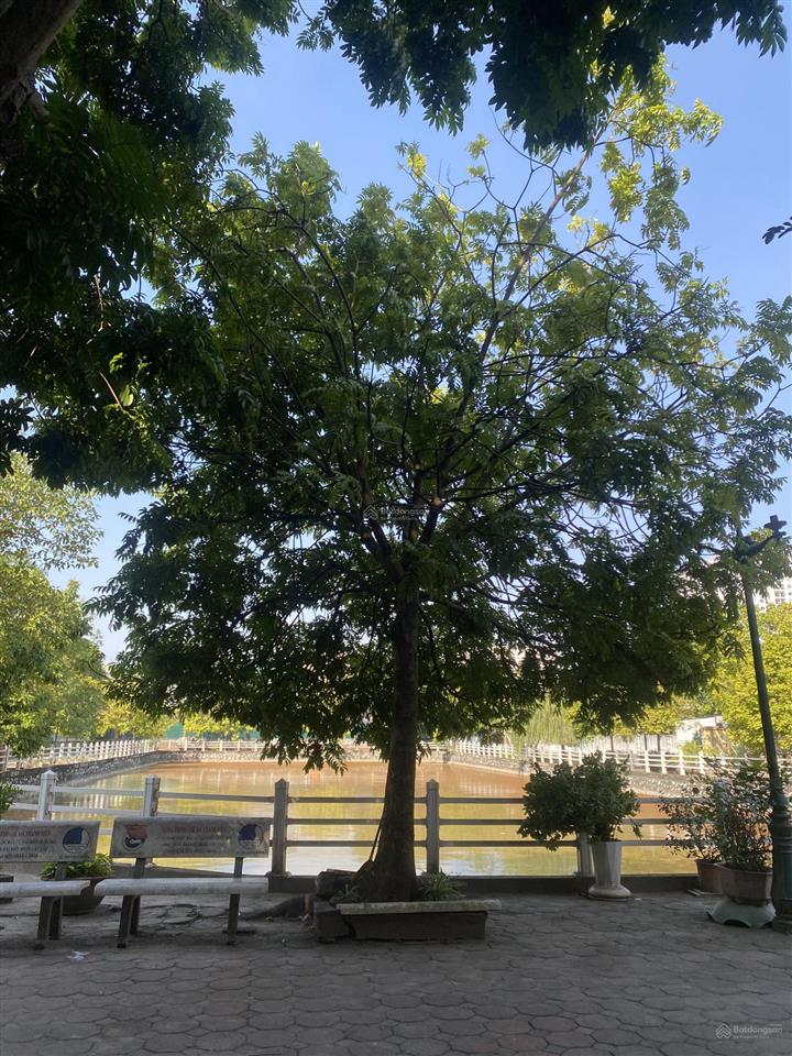 B.án nhà vũ xuân thiều  dân xây  58m2* 5 tầng  full nội thất  gara oto  tc hơn 10