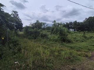 Bán đất chính chủ bảo vinh, đồng nai. diện tích 503,4 mét vuông, 2 mặt tiền