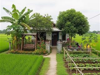 Chính chủ cần bán đất biệt thự gần sân bay long thành dt 1000m2 đường bê tông gần dân cư