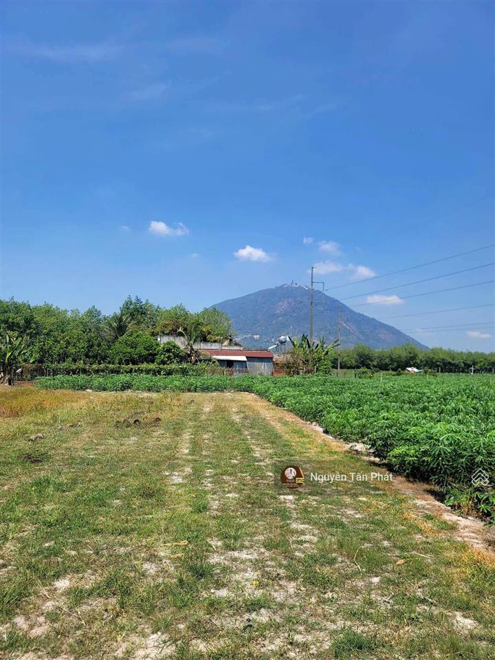 4435m2 đất đường nhựa, view núi. dân đông. 2,8 tỷ