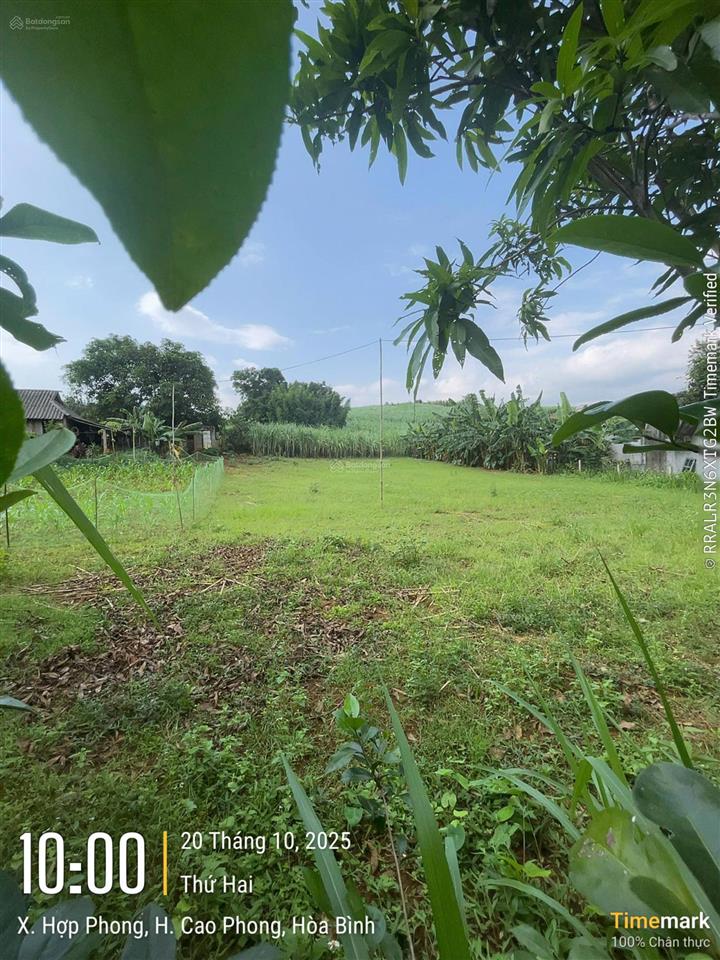 1000m2 cách hồ 30m, giá chỉ 1,5 tỷ