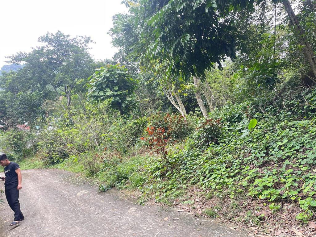 Chính chủ gửi bán lô đất trung tâm bãi lạng  lương sơn, hòa bình