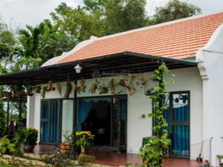 Bán nhà riêng tại đường 7, điện thọ, điện bàn, quảng nam, 4,5 tỷ, 500m2