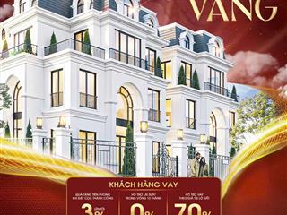 Kđt việt hưng giáp quốc lộ 38b  điểm sáng đầu tư đất nền với giá rẻ  tiềm năng tăng giá cao