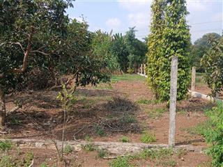 Cần bán đất nền bình ba. giá đầu tư