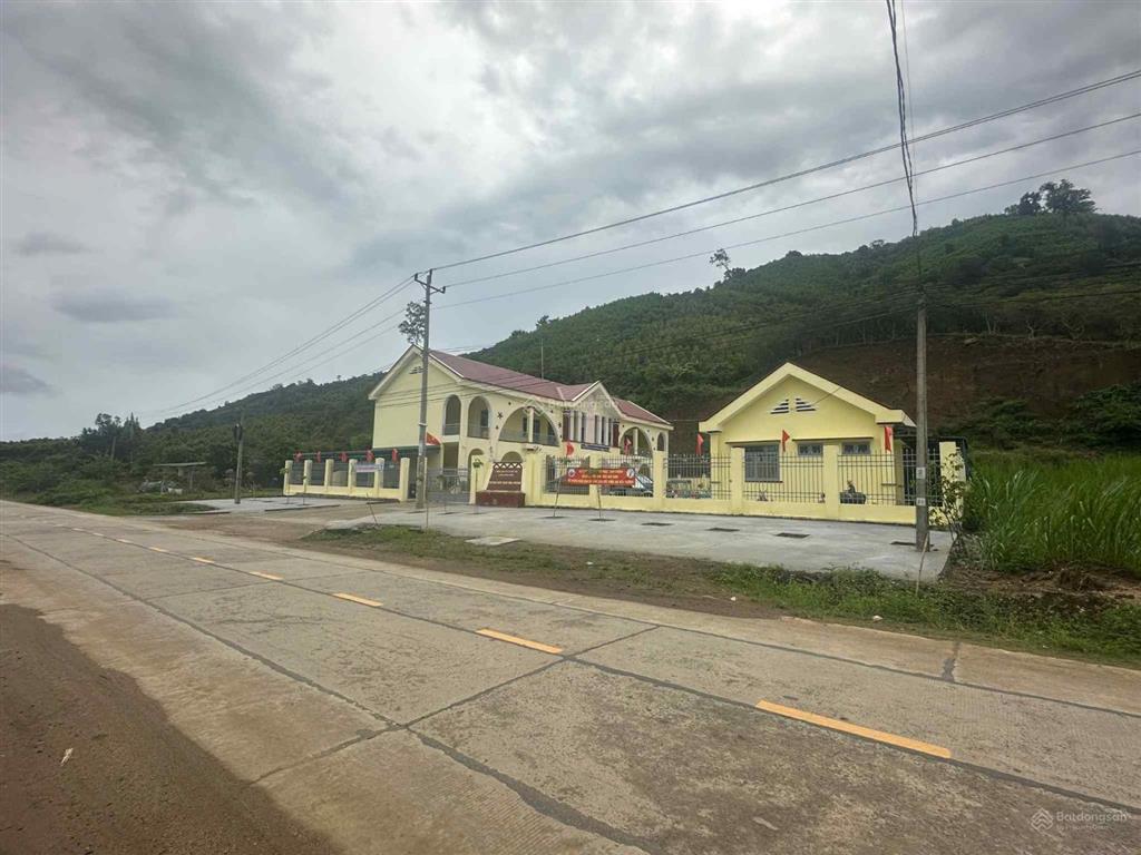 Chính chủ bán đất gấp mtđ tl12, xã hòa phong, krông bông, đắk lắk, 785.2 m2, 21.33 m ngang có thổ