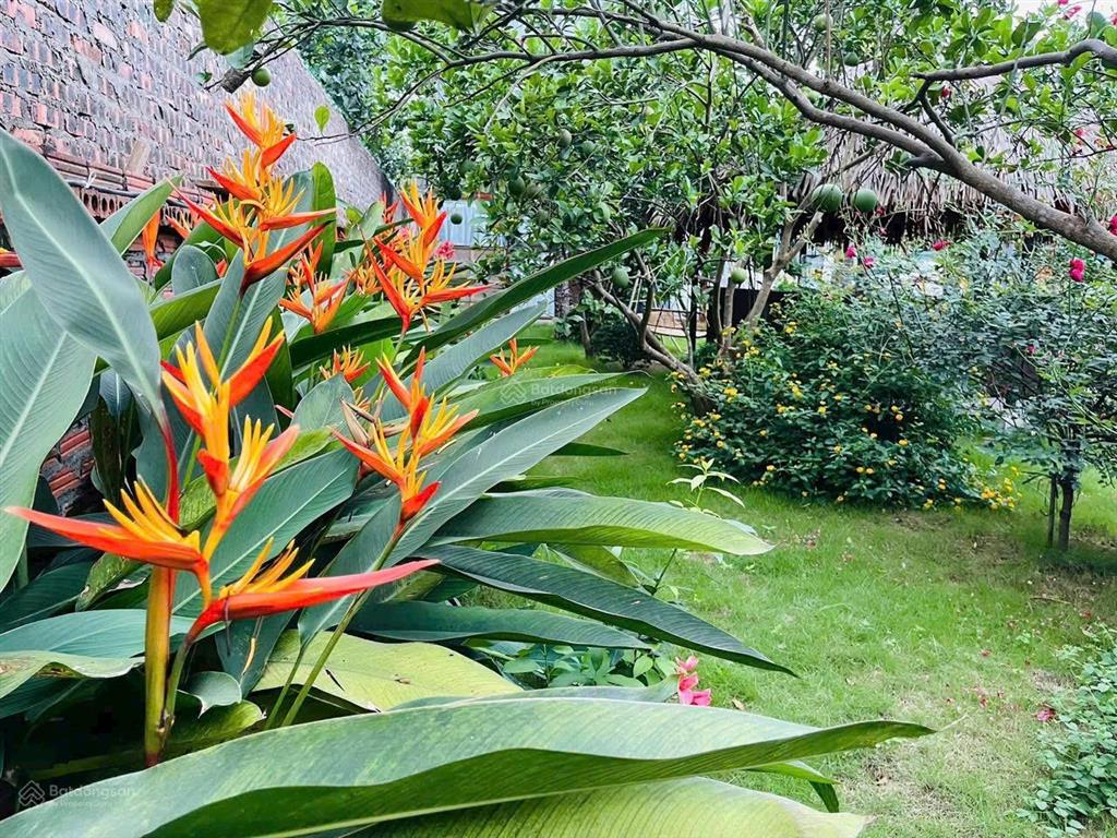 Chính chủ là em bán khu nghỉ dưỡng siêu vip tại hồ đồng đò  1685m2  giá siêu hấp dẫn