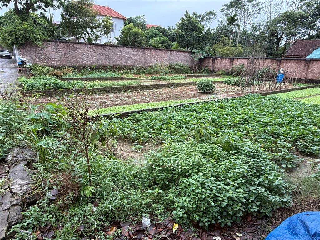 Bán 4 lô liền kề đan tảo  2 ô tô tránh  96  110m2  siêu vip (khách chọn thoải mái)