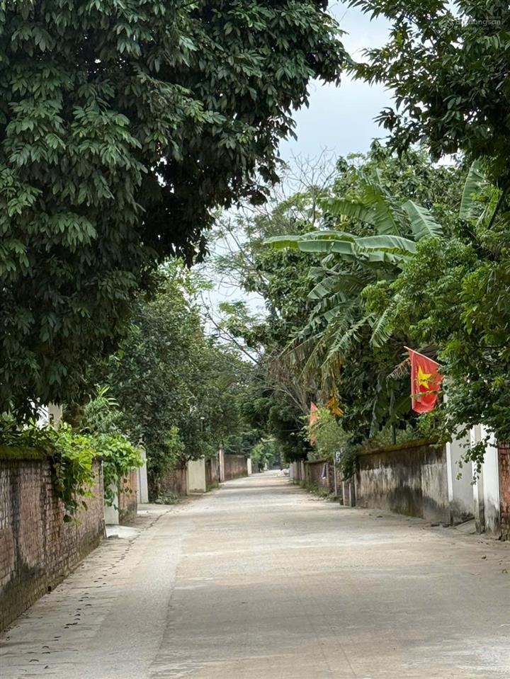 Bán 4 lô liền kề đan tảo  2 ô tô tránh  96  110m2  siêu vip (khách chọn thoải mái)