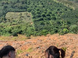 Định cư bên úc cần bán gấp lô đất xã xuân trường, đà lạt giá 2,2 tỷ/1195.5m2