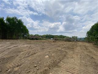 Bán 1.2ha đất trồng cây lâu năm liền kề khu dân cư, đường xuân thành  trảng táo