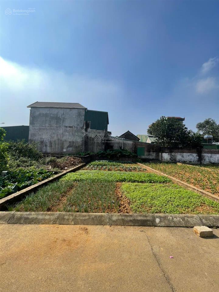 Chủ ngộp bán gấp 61,2m2 đồi sen bình yên thạch thất, hà nội