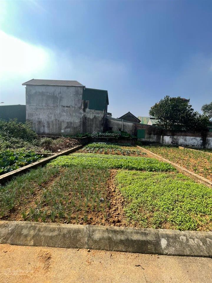 Chủ ngộp bán gấp 61,2m2 đồi sen bình yên thạch thất, hà nội