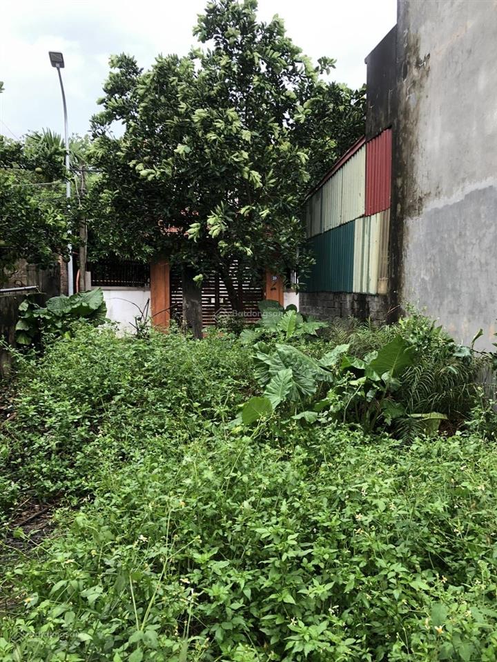 Chính chủ bán lô đất thổ cư tại đại nghĩa mỹ đức hà nội ,trung tâm thị trấn ,đầy đủ các tiện ích