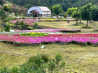 Hợp tác hoặc sang nhươpng khu du lịch