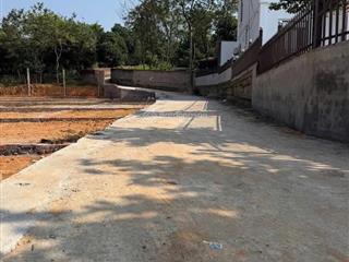 Bán đất thôn 5 hoàng hoa tam dương