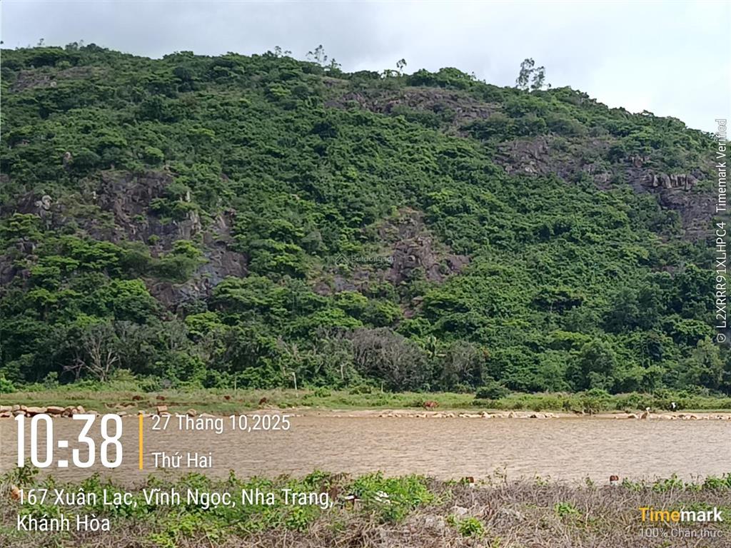 Vĩnh ngọc 310.7m2. thích hợp xây nhà vườn nghỉ dưỡng. đầu tư xây trọ cho thuê tăng dòng tiền