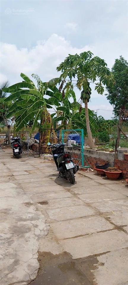 Hailongreal đất giá 3.6tỷ, dt 320m2, 17x19m, thổ cư 169m2, đường 6m, nguyễn văn tạo, nhà bè,