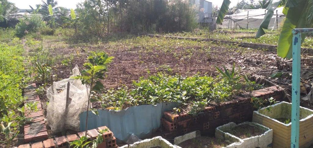 Hailongreal đất giá 3.6tỷ, dt 320m2, 17x19m, thổ cư 169m2, đường 6m, nguyễn văn tạo, nhà bè,