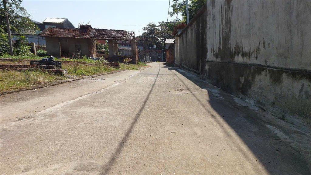 Bán đất tại đường thắng trí, xã minh trí, sóc sơn, hà nội, 16,5 triệu / m2, 132,1 m2