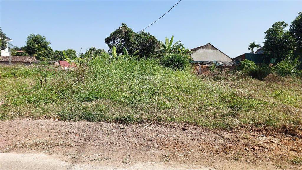 Bán đất tại đường thắng trí, xã minh trí, sóc sơn, hà nội, 16,5 triệu / m2, 132,1 m2