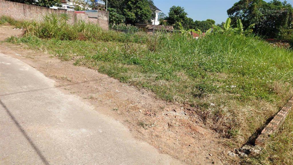 Bán đất tại đường thắng trí, xã minh trí, sóc sơn, hà nội, 16,5 triệu / m2, 132,1 m2