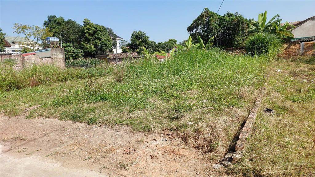 Bán đất tại đường thắng trí, xã minh trí, sóc sơn, hà nội, 16,5 triệu / m2, 132,1 m2