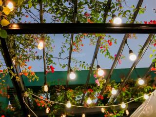 Bán căn penthouse aquabay ecopark hưng yên không gian sống xanh trên mây, sang trọng và hiếm có