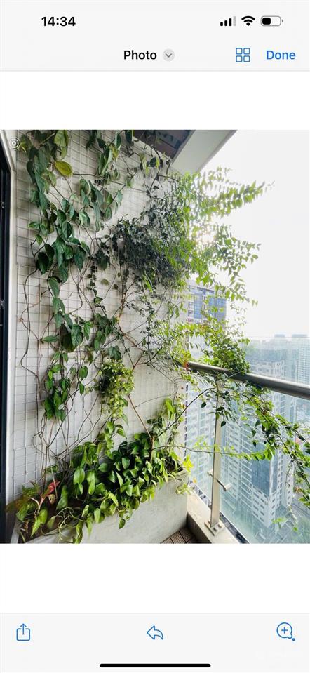 Chính chủ gửi bán một số căn hộ đẹp tại goldsilk complex giá thỏa thuận