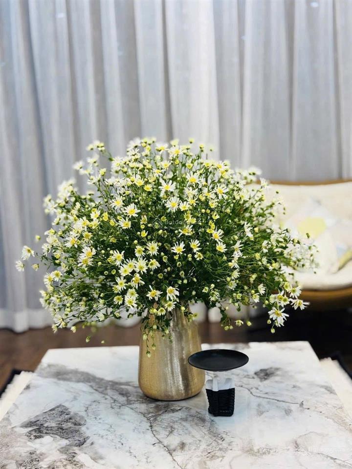 Cực rẻ  bán căn hộ 74m2  2 ngủ  chỉ 3,74 tỷ  bemes ct6 kiến hưng