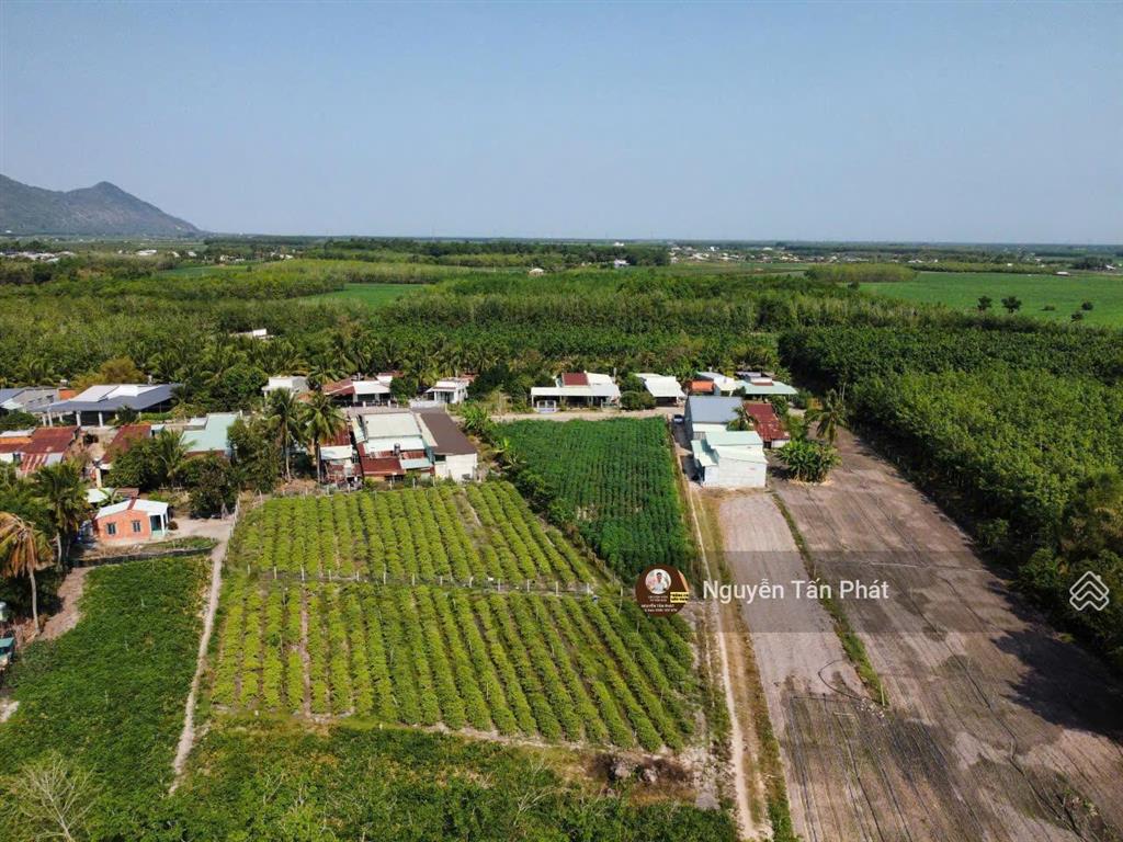 1724m2 đường nhựa, trung tâm dương minh châu. 1,7 tỷ