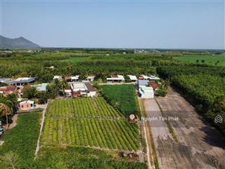 1724m2 đường nhựa, trung tâm dương minh châu. 1,7 tỷ