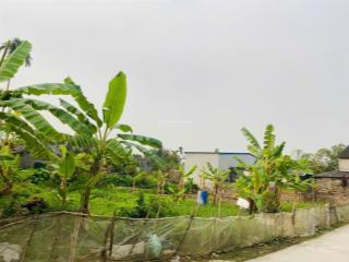 Bán đất siêu hot tại đông phương, kiến thụy, hải phòng, 4 tỷ, 190m2