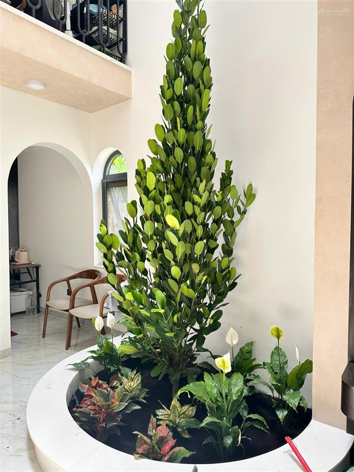 Siêu phẩm nhà đẹp full nội thất ngang 5,5m nở hậu ngay chợ đình phong phú dt 85,07m giá tốt 10 tỉ