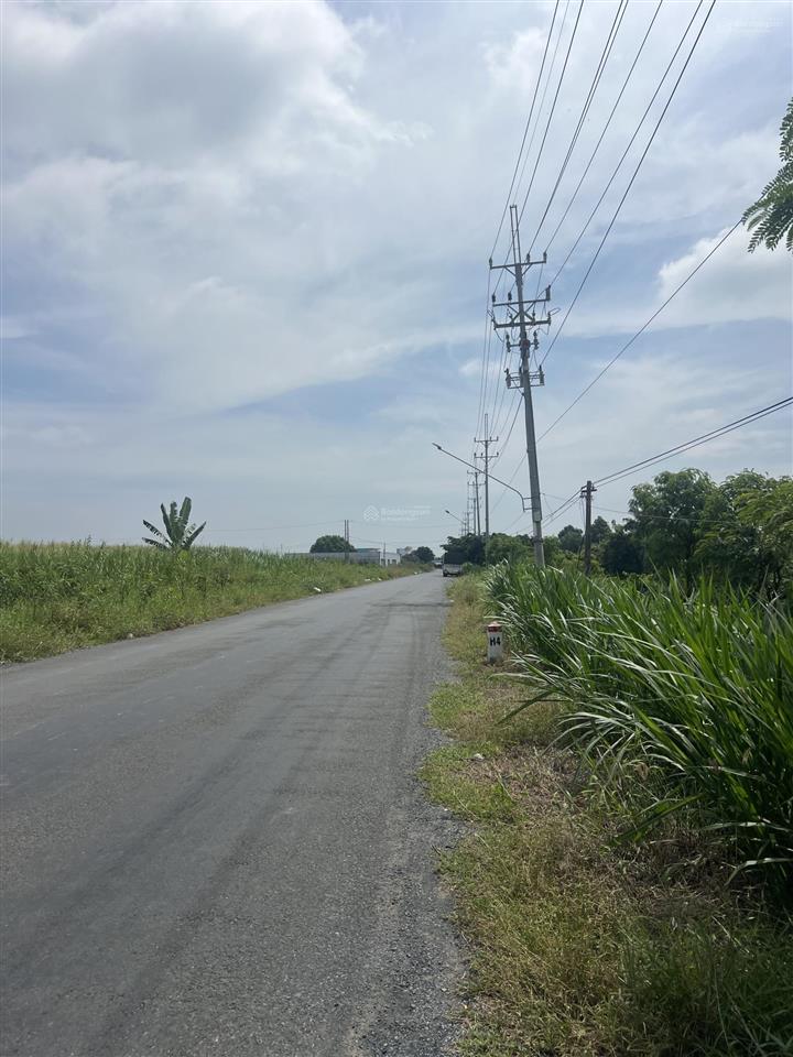 Đất ngay bến phà vàm lángcần giờ full thổ cư