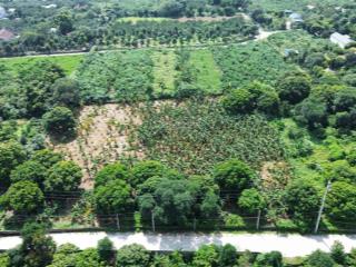 Chính chủ  5040m2  lô góc  500m2 thổ cư  mặt tiền 80m  container tránh nhau