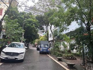 Siêu biệt thự công viên hoà bình  118m2  lô góc  ô tô tránh  vỉa hè  an sinh đẳng cấp