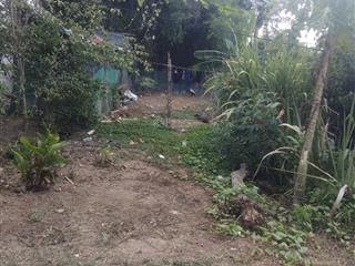 Cần bán đất nền trồng cây lâu năm,có thổ cư