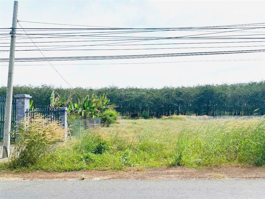 Bán đất mặt tiền tại dh710, định thành, dầu tiếng, bình dương, 990 triệu, 400m2 5x80 tc 100m