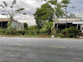 Đất nền chính chủ mặt tiền 94m2 tại tỉnh lộ 944, xã an thạnh trung, chợ mới, an giang, 650 triệu