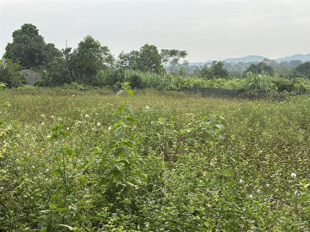 Bán lô đất view núi đẹp xã yên bài, ba vì diện tích 1.343m thổ cư 400m mặt tiền