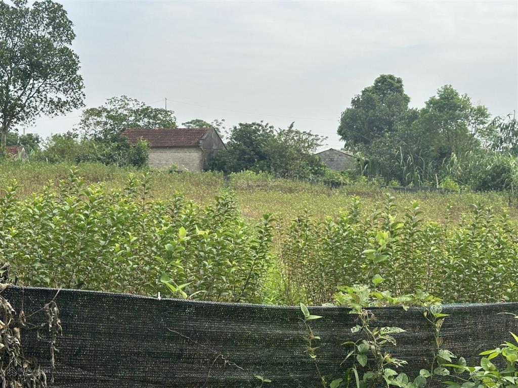 Bán lô đất view núi đẹp xã yên bài, ba vì diện tích 1.343m thổ cư 400m mặt tiền