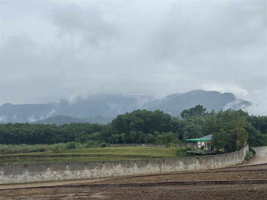 Siêu phẩm đất nghỉ dưỡng tại ba trại ba vì, chỉ hơn 1 giờ từ trung tâm hà nội!