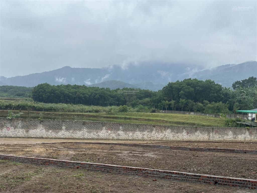 Siêu phẩm đất nghỉ dưỡng tại ba trại ba vì, chỉ hơn 1 giờ từ trung tâm hà nội!