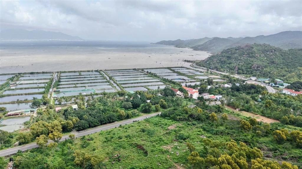 Cần bán gấp lô đất chủ ngộp 5100m2 giá 7 tỷ đối diện vin homes cam ranh khánh hoà