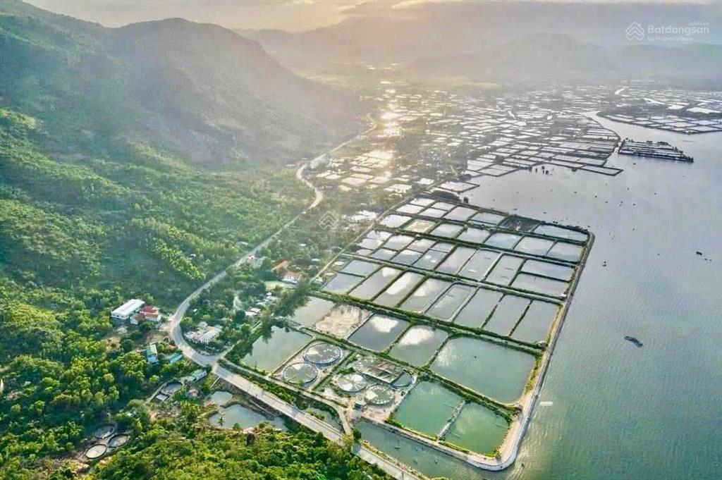 Cần bán gấp lô đất chủ ngộp 5100m2 giá 7 tỷ đối diện vin homes cam ranh khánh hoà