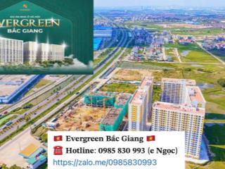Bán căn hộ chung cư đẹp tại evergreen bắc giang, 630 triệu, 30.44m2  0985 830 *** (e ngọc)