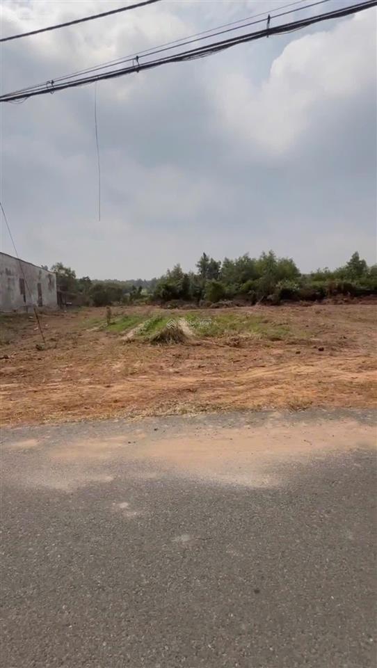 Đất vườn xã thái mỹ gần đường cây trôm mỹ khánh 15x76 thổ cư, sổ hồng riêng giá 5tỷ98