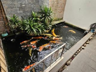 Mai chí thọ, nhà 3 tầng ngay nguyễn phước lan. giá nhỉnh 9 tỷ