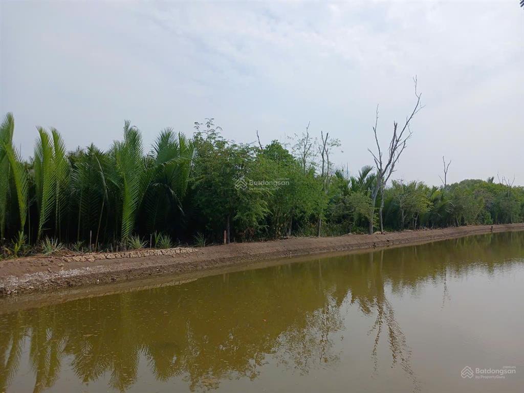 Kẹt bank bán đất xã bình khánh, huyện cần giờ, tphcm